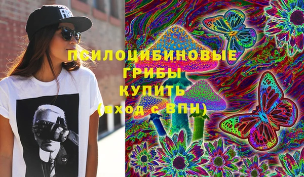 метадон Арсеньев